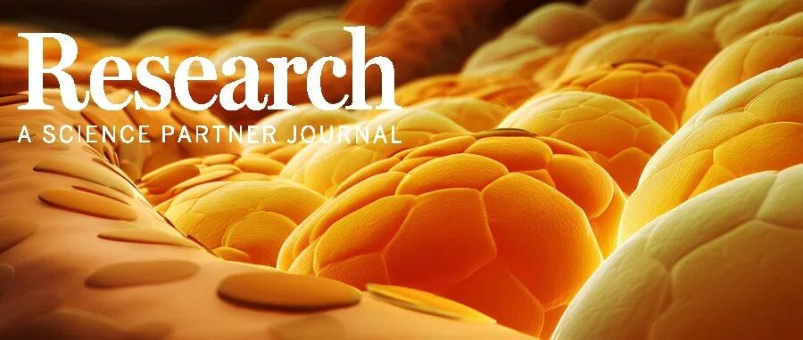 Research|东南大学李玲教授团队及合作者提出可重现肠—胰岛轴的三维器官芯片策略，实现胆汁酸引导的 GLP-1/胰岛素分泌评估