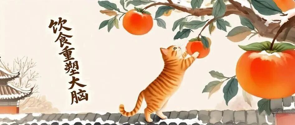 营养与心理健康：营养认知神经科学的进展