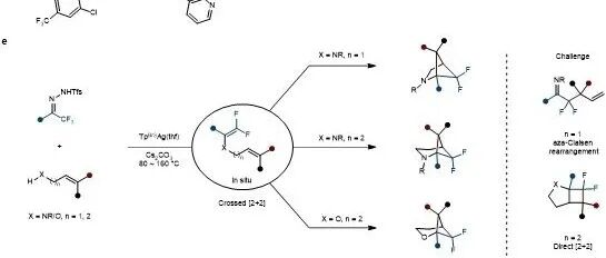 Nature Chemistry：东北师大毕锡和教授团队在卡宾化学领域取得研究新进展