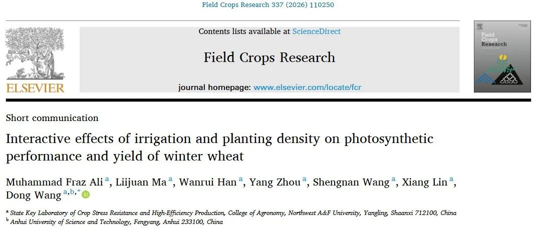 Agricultural Water Management | 深根冬小麦品种培育助力华北平原储水灌溉适配性提升