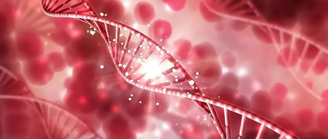 【经典文献赏析】Bioactive Materials——重塑关节微环境治疗骨关节炎