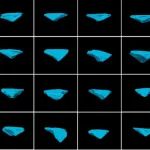 【美图欣赏】关节“发言”你听得见吗？