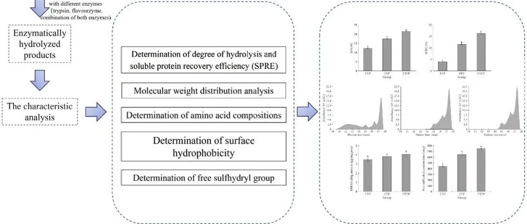 FSAP |\u00A0王颖教授、张月美副教授等：胰蛋白酶和风味蛋白酶对猪血纤维蛋白原的酶促水解作用：低分子质量肽的结构表征与功能特性探究