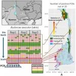 Ecology Letters | 我刊编委车静、陈小勇、蒋学龙及合作伙伴利用eDNA开启西南山地大规模生物多样性监测新篇章