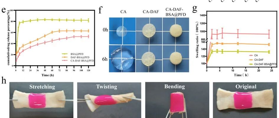 《AFM》燕山大学张强：筋膜仿生核壳纳米纤维水凝胶，具有免疫调节与疤痕抑制双重功效！