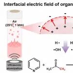 厦门大学田中群院士团队：有机微液滴界面电场驱动无催化剂自由基反应