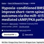 Stem Cell Res Ther｜哈尔滨医科大学附属第二医院骨科刘建宇：低氧预处理骨髓间充质干细胞外泌体介导的cAMP/PKA通路改善短期脊髓损伤预后