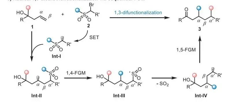 上海交通大学朱晨课题组：通过连续官能团迁移实现未活化烯烃的同系化自由基1,3 - 双碳官能化