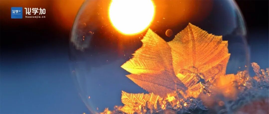 7篇顶刊！福州大学曾华强团队2025年度重点研究成果一览