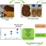 微波辅助亚临界水提取：开心果废料提取抗氧化酚类物质的实验优化与数据分析