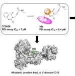 【前沿进展】JMC | 艾有为组合作发现靶向 PDI 的全新“变构-共价”抑制剂，为胶质母细胞瘤治疗提供新策略