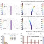 水凝胶，Nature！