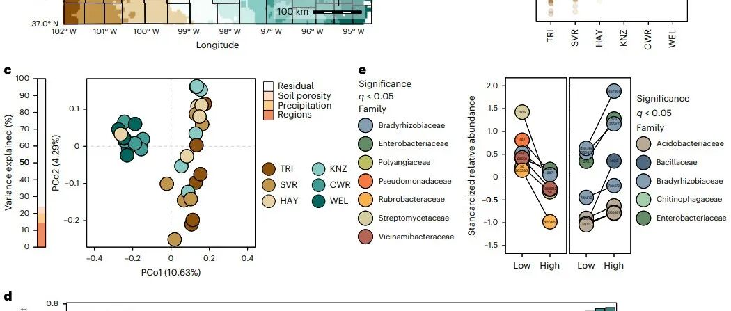 Nature Microbiology | 降水遗留效应对土壤微生物群落的影响促进了植物的适应性干旱响应