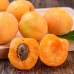 研究成果|外源NO处理调控杏果采后风味品质