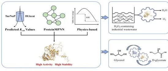 华东理工大学李志敏、李宗霖团队在非天然氨基酸绿色生物制造领域取得重要进展