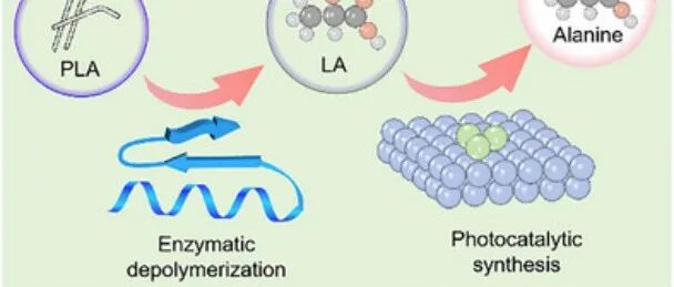 华东理工大学、南京工业大学、南京农业大学联合发表Angew：聚乳酸塑料的太阳能-生物混合升级回收制丙氨酸
