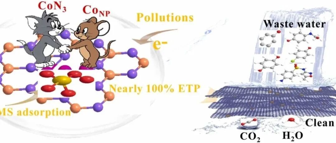 钴单原子/团簇协同作用实现精准水污染：解锁过氧单硫酸盐活化中近100%电子转移通路