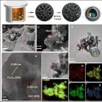 浙江大学海南研究所：笼状柳骨生物炭约束合成 Fe\u2083O\u2084/ZnO 异质结纳米颗粒，用于 PFOA 的协同吸附和光催化降解