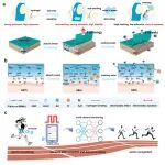 福州大学黄剑莹教授 AFM：汗液自适应智能粘附水凝胶 - 赋能舒适穿戴传感器新突破