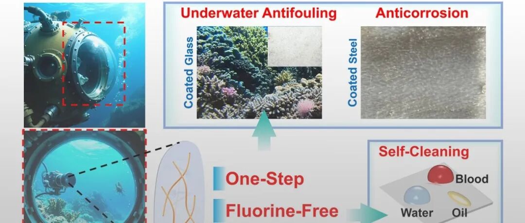 福州大学赖跃坤课题组 AFM：一步、无溶剂、双固化策略 - 打造无氟全疏涂层，赋能水下光学系统透明长效防护