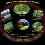 Nat Communi | 甘延太院士团队提出6种维持“生产力-可持续性”权衡的减少塑料地膜依赖的方案