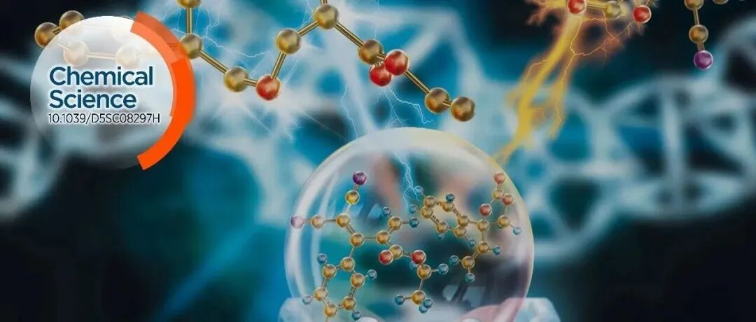 南理工杨沙/应化所刘伟团队: 预测准确率100%合金表面双稳吸附态分类模型