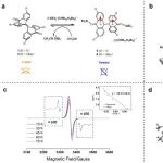 上海有机所王新平团队：碳碳双键结构调控
