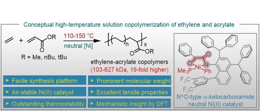长春应化所简忠保团队 Angew：新一代聚烯烃催化剂创制
