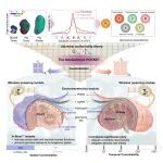 北航常凌乾等 Cell：柔性电子实现时空精准药物递送