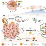 J Nanobiotechnology |\u00A0北京理工大学黄利利教授团队：双靶标自佐剂纳米疫苗，开启抗病毒+抗肿瘤协同免疫治疗新篇章