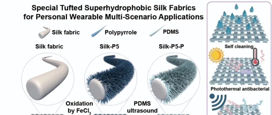 浙江大学杨明英教授团队 ACHM：蚕丝织物新突破！蚕丝复合面料解锁三重黑科技-超疏水+抗菌+防电磁样样行