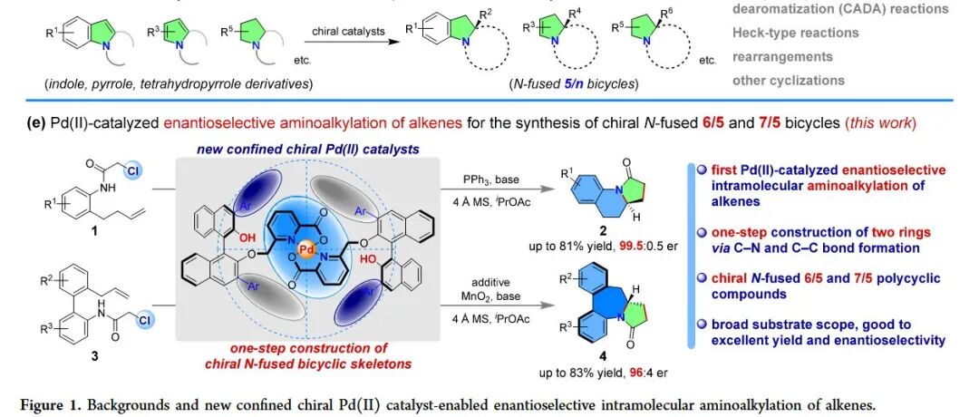 华东理工大学张志鹏，岑守义团队：受限手性 Pd(II) 催化剂实现烯烃的对映选择性分子内氨基烷基化反应：手性 N-稠合双环骨架的一步构建