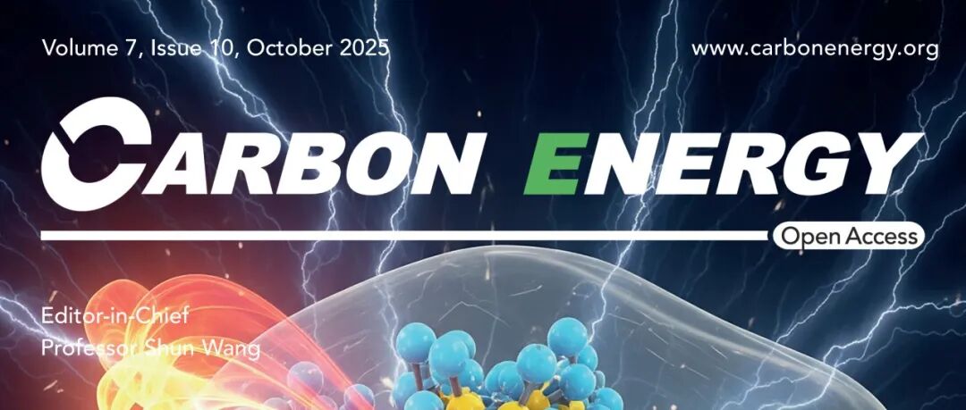 郑州大学范冰冰&刘宪虎&西北工业大学卿玉长Carbon Energy综述：利用含碳材料制造下一代高温电磁波吸收剂