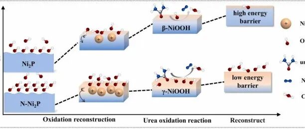 中南大学发表ACB：氮诱导的Ni2P催化剂界面调控增强尿素氧化与析氢反应
