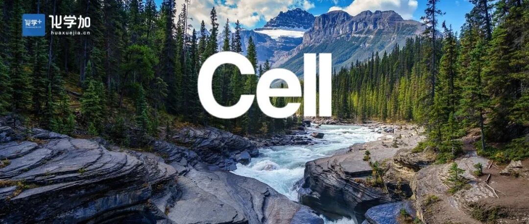 北航，首篇《Cell》！