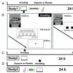 PNAS | 华中师范大学孙晓军/赵庆柏/刘威发现催产素是女性记忆男性面孔的“强化剂”