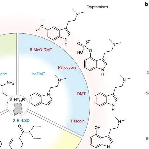 重新认识“幻觉”的起点，四川大学最新Nature
