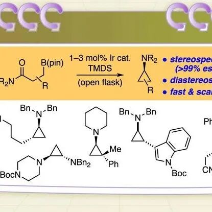 【JACS】美国波士顿学院James P. Morken课题组：催化立体专一性构建氨基环丙烷衍生物