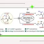【Nat. Commun.】浙工大许丹倩/娄绍杰/杨云芳：配体控制的二级脂肪胺区域发散性和对映选择性碳氢氰基化