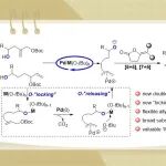 重庆医科大学冉光尧课题组OL：钯/金属醇盐联用实现柔性烯丙基-钯氧杂偶极子的化学选择性构筑并用于高阶环加成反应