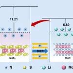 南京工业大学冯永宝/李秋龙教授课题组《J. Colloid Interface Sci.》：MoS2/MoN分层异质结诱导内建电场实现高倍率长寿命锂离子电池