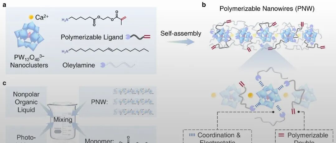华南理工大学岳衎、清华大学王训 Nat. Commun.: 超可拉伸抗撕裂低极性有机凝胶