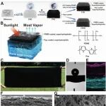 浙江大学杨明英教授团队 Adv. Sci.：平面丝变身高效耐盐太阳能蒸发器，淡水生产成本大降