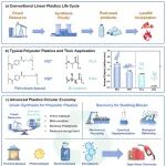 东华大学杨建平等 Adv. Sci.：从合成到升级回收 - 聚酯塑料全生命周期的绿色转型