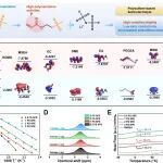 天津大学封伟团队 Mater. Today：脂肪族聚砜构建非对称双层聚合物电解质赋能高压锂电池