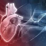 【经典文献赏析】上海交通大学Advanced Science——p53-Park7轴紊乱在阿霉素诱导的心肌细胞铁稳态失衡中的作用