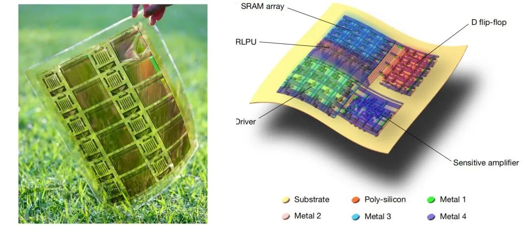 清华大学任天令教授团队 Nature：柔性电子与边缘人工智能芯片领域重要突破