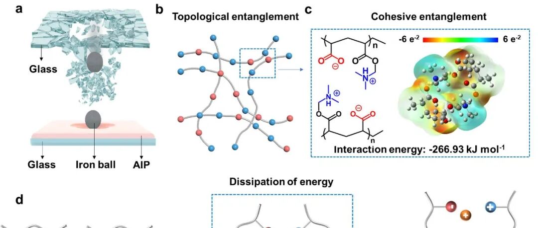 苏州大学严锋教授团队 Adv. Mater.：内聚缠结构建高模量高阻尼离子聚合物
