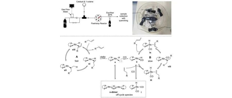 【翼享学术】恒瑞医药/南科大：流动化学突破时间极限，研究秒级催化反应动力学