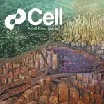 【基于cell文章的国自然选题】建立大脑细胞衰老与大脑结构之间的关系，深度拓展